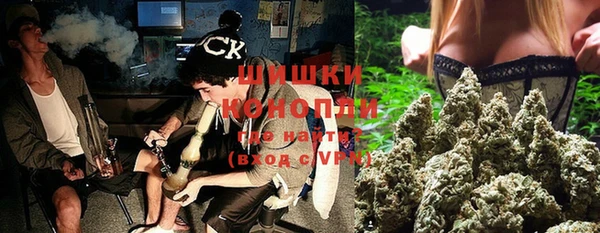 круглые Гусев