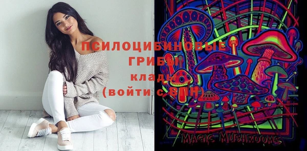 круглые Гусев