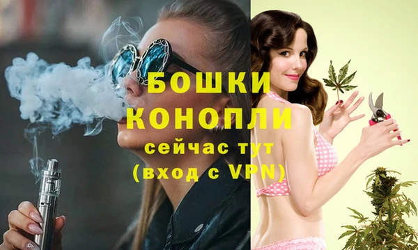 таблы Гусь-Хрустальный