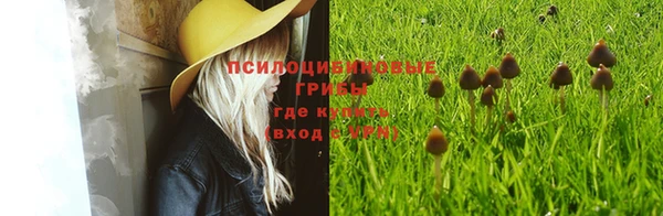 не бодяженный Гусиноозёрск