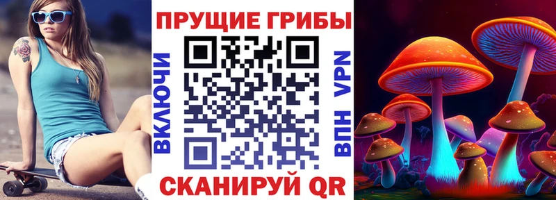 Псилоцибиновые грибы GOLDEN TEACHER  Братск 